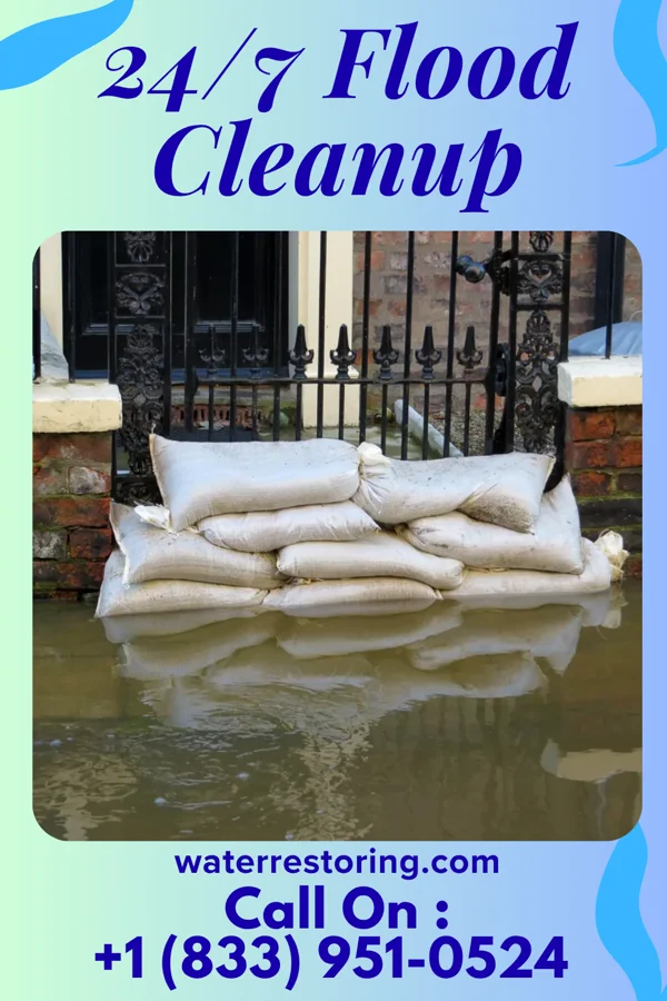 24/7 Flood Cleanup in Vienna, LA