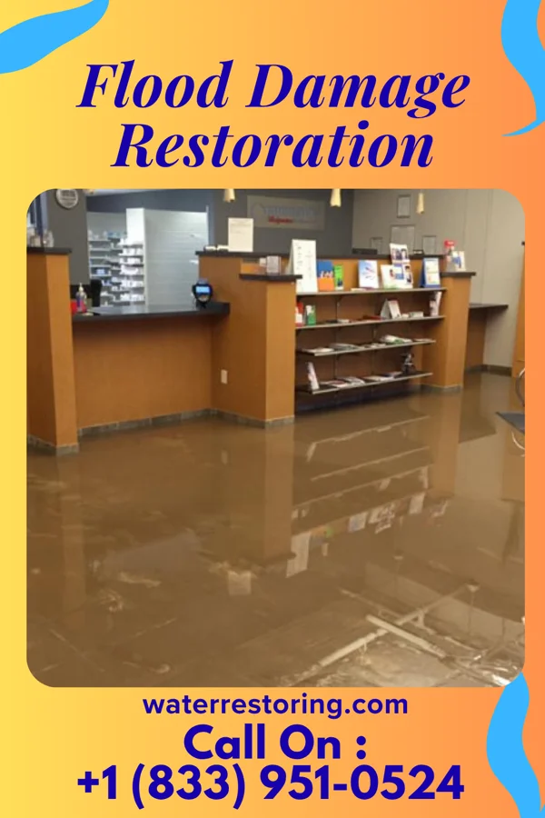 Flood Damage Restoration in Vienna, LA