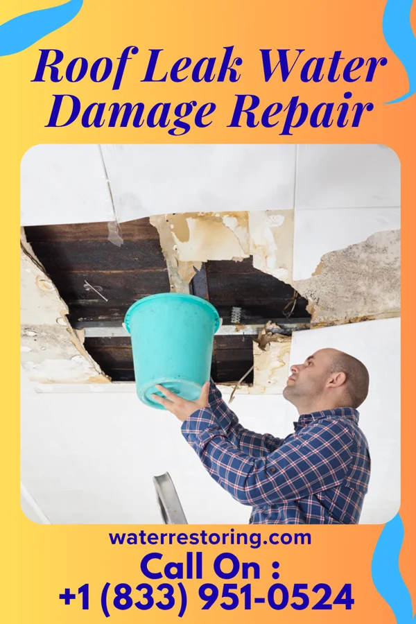 Roof Leak Water Damage Repair in Vienna, LA