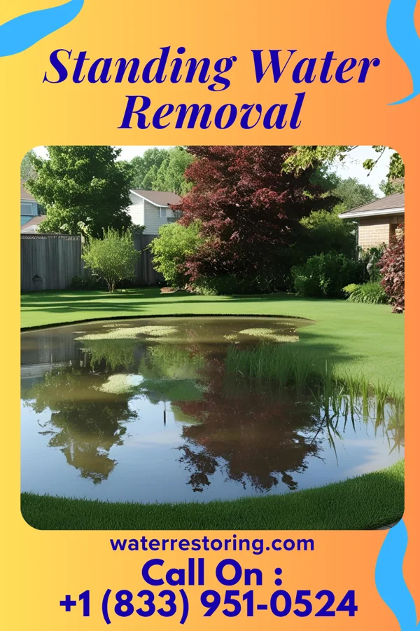 Standing Water Removal in Vienna, LA